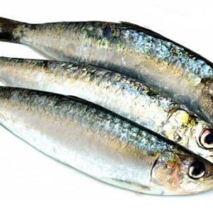 SARDINELLE (Manvi)