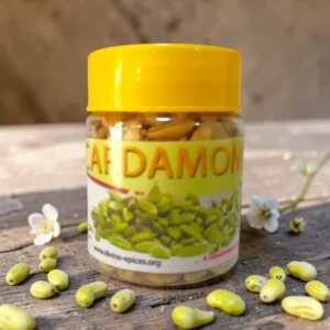 Cardamome