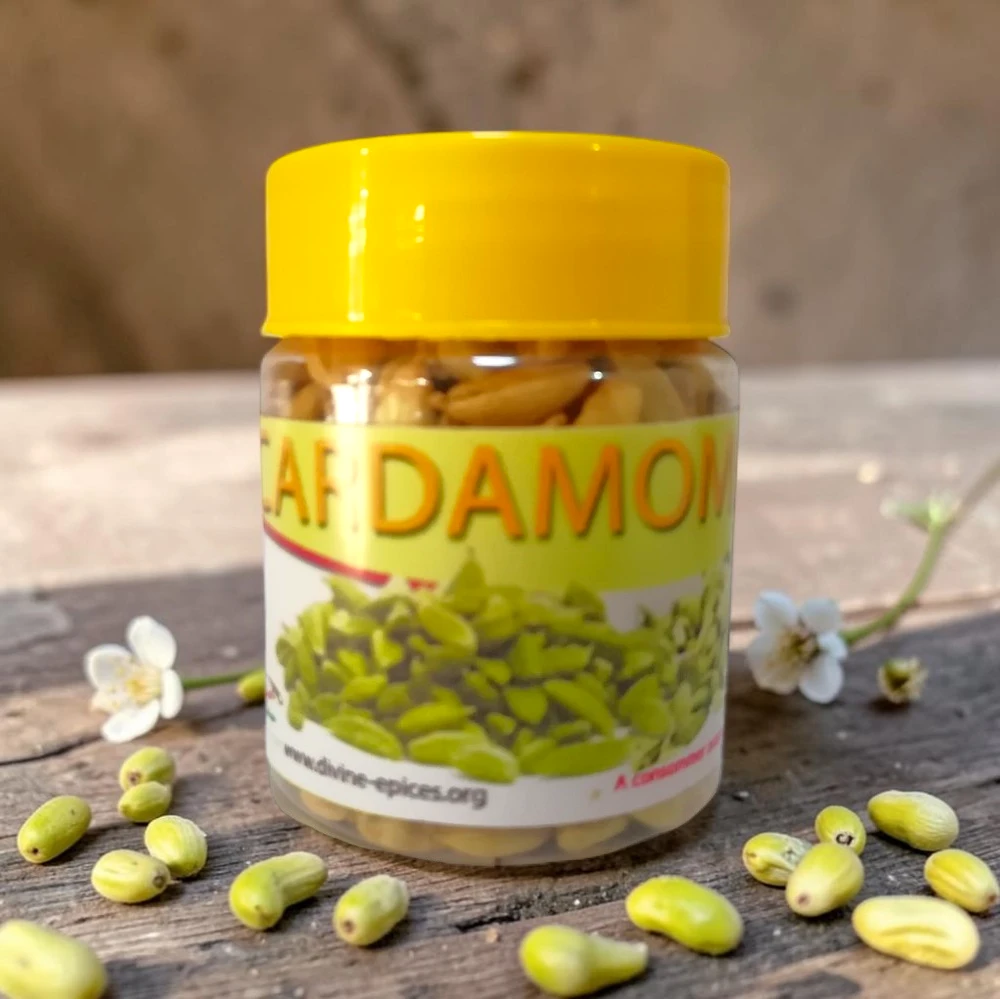 Cardamome